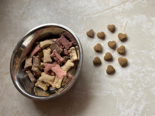 Dog Treats
